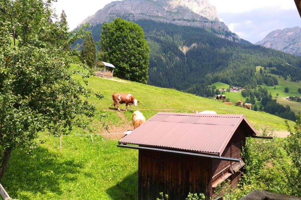 Ferienwohnung La Majon Colle Santa Lucia Exterior foto